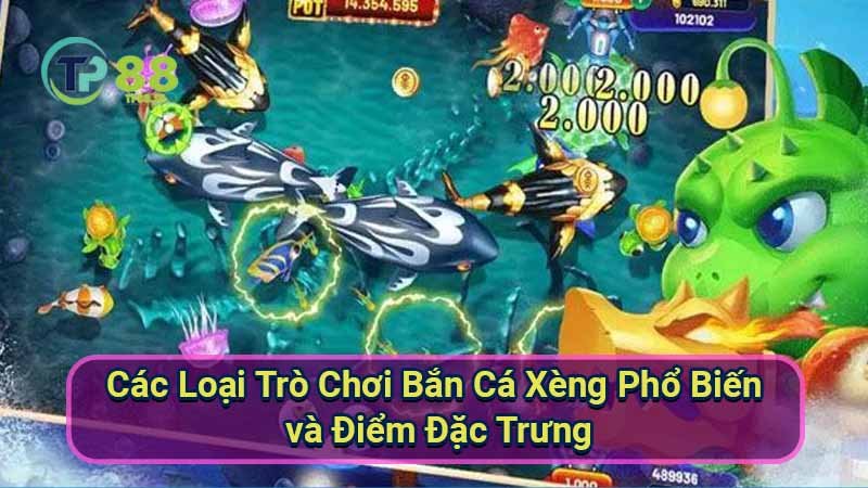 cac-loai-tro-choi-ban-ca-xeng-pho-bien-va-diem-dac-trung