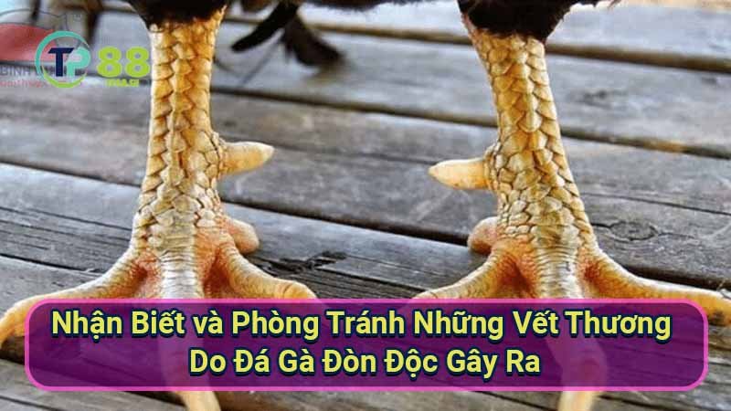 nhan-biet-va-phong-tranh-nhung-vet-thuong-do-da-ga-don-doc-gay-ra