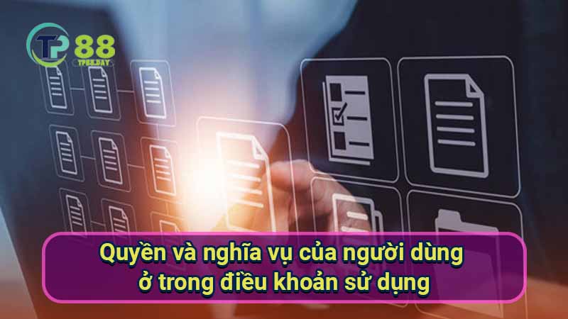 Điều Khoản Sử Dụng - Hướng Dẫn Về Quy Định Và Trách Nhiệm 2 quyen-va-nghia-vu-cua-nguoi-dung-o-trong-dieu-khoan-su-dung