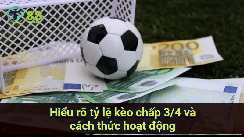 hieu-ro-ty-le-keo-chap-3-4-va-cach-thuc-hoat-dong