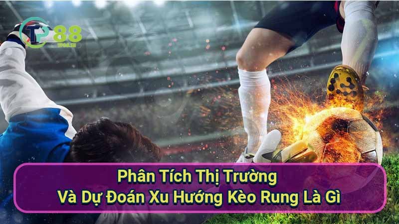 phan-tich-thi-truong-va-du-doan-xu-huong-keo-rung-la-gi