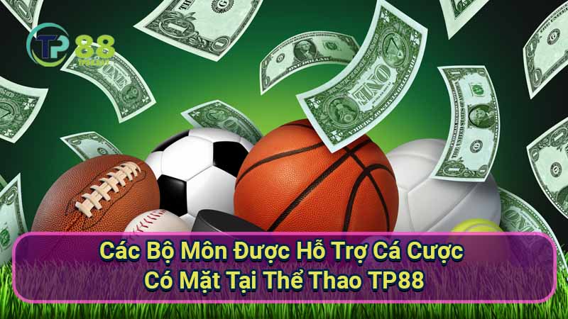 Thể Thao TP88: Khám Phá Thiên Đường Đặt Cược Thể Thao Online 1 cac-bo-mon-duoc-ho-tro-ca-cuoc-co-mat-tai-the-thao-tp88
