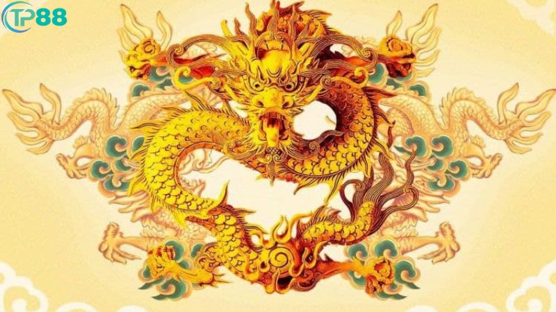 Phong Thủy Sau Rằm Tháng Giêng: 4 Con Giáp Vượng Tài, Đại Cát Đại Lợi Suốt Năm 2025 4 phong-thuy-sau-ram-thang-gieng-1